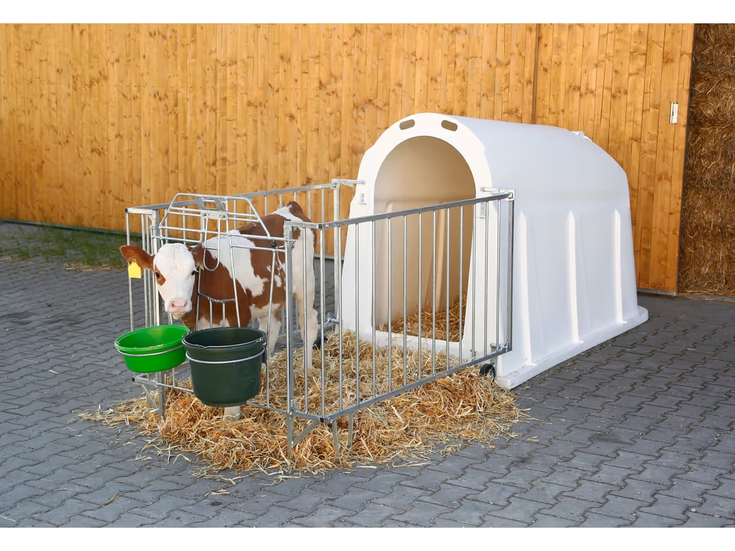 Calfhouse PE UV+