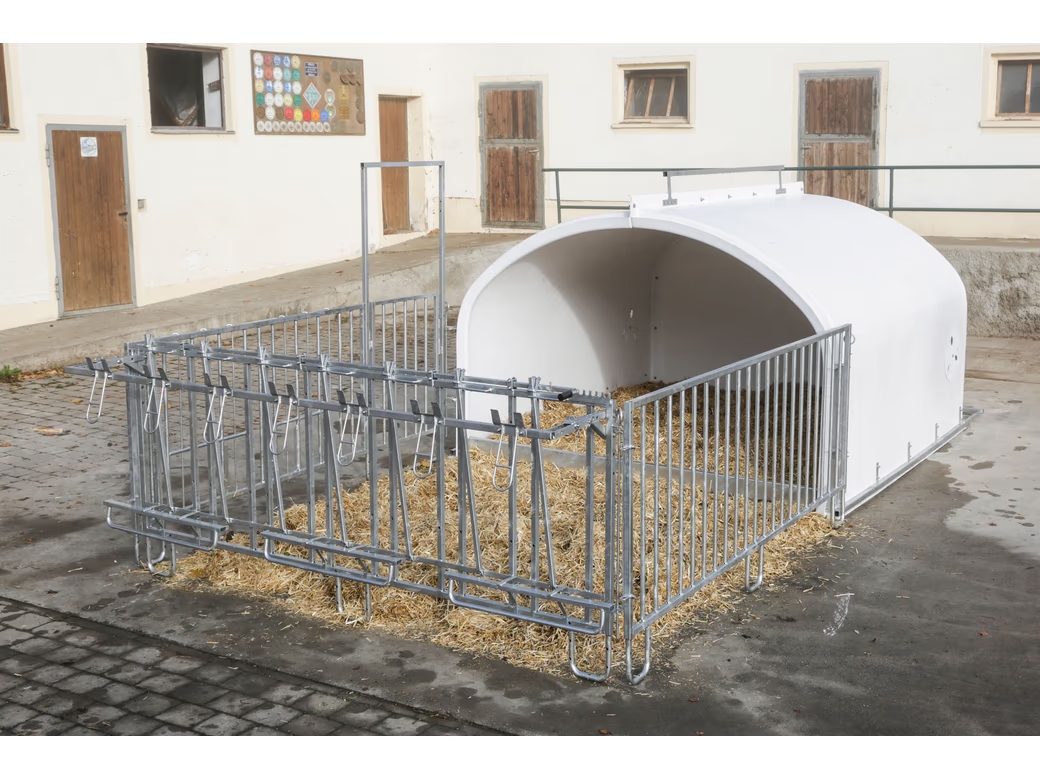 Calfhouse Premium XXL